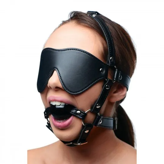 Sex Toy Distributing Anal Blindfold Harness and Black Ball Gag