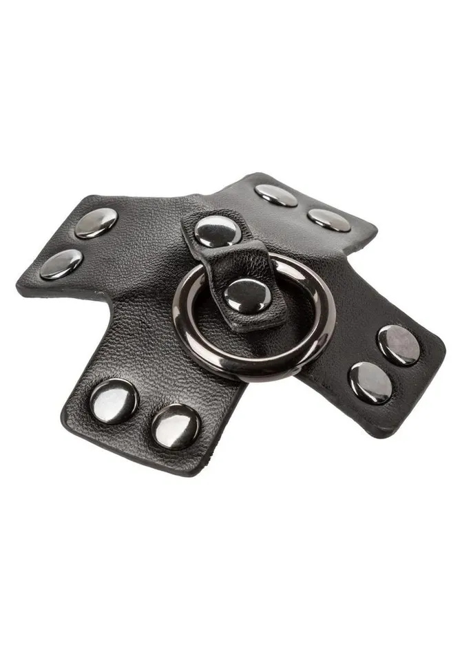 Anal Euphoria Collection ORing Pasties Black Cal Exotics