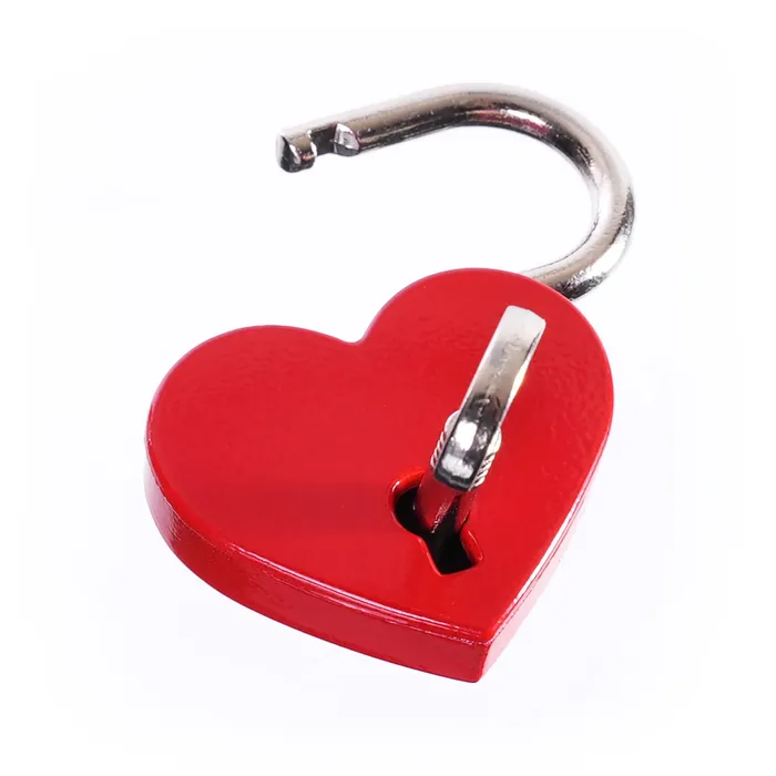 Anal Love Padlocks Set of 5 by Kink Kink Store