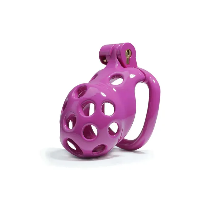 Vibrators CHASTITY CAGE CO Purple Hole Cobra Chastity Cage Kit 177 To 413 Inches Long