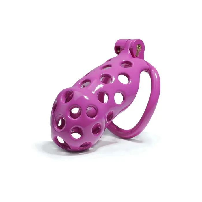 Vibrators CHASTITY CAGE CO Purple Hole Cobra Chastity Cage Kit 177 To 413 Inches Long