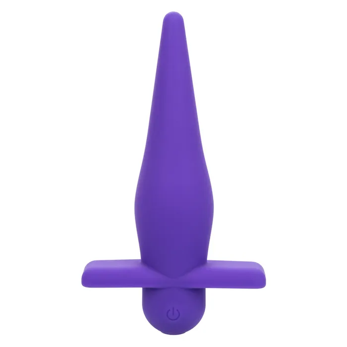 CALEXOTICS Anal HIGH IINTENSITY RECHARGABLE PROBE