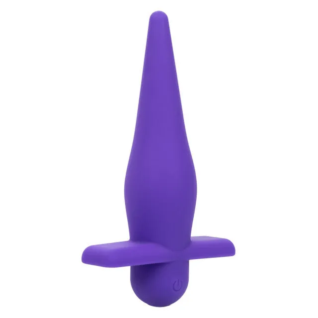 CALEXOTICS Anal HIGH IINTENSITY RECHARGABLE PROBE