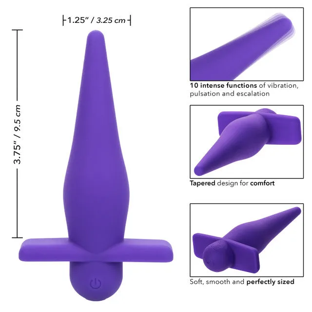 CALEXOTICS Anal HIGH IINTENSITY RECHARGABLE PROBE