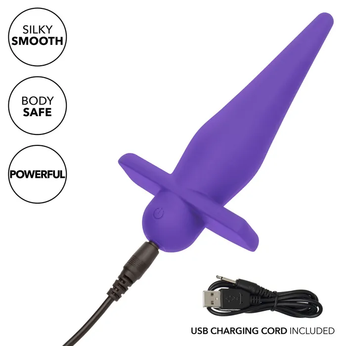 CALEXOTICS Anal HIGH IINTENSITY RECHARGABLE PROBE