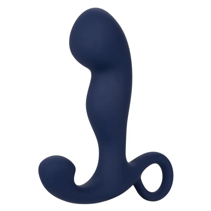 CalExotics Anal Viceroy Rechargeable Command Probe Blue