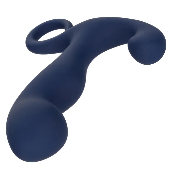 CalExotics Anal Viceroy Rechargeable Command Probe Blue