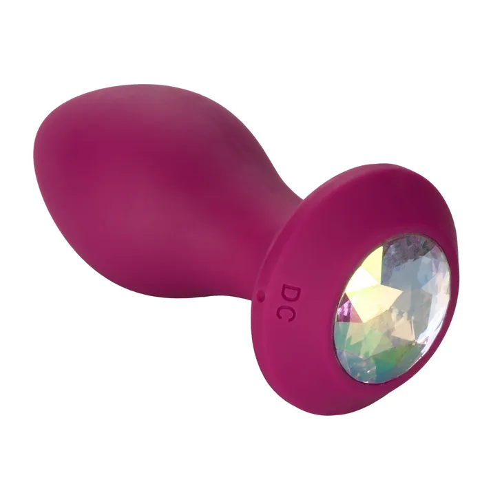 SugarandSas Vibrators Power Gem Vibrating Probe Purple