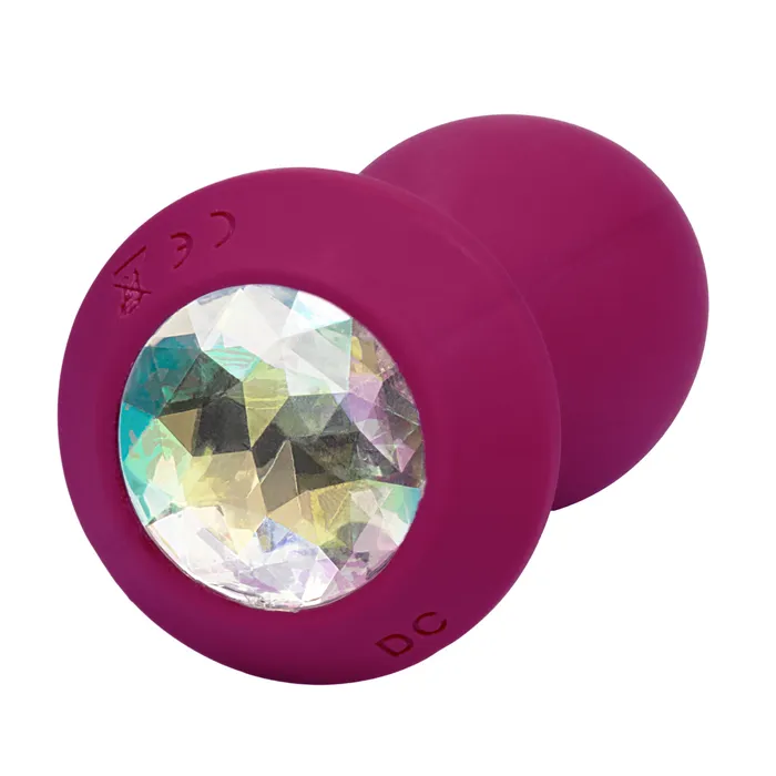 SugarandSas Vibrators Power Gem Vibrating Probe Purple