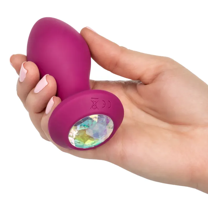 SugarandSas Vibrators Power Gem Vibrating Probe Purple