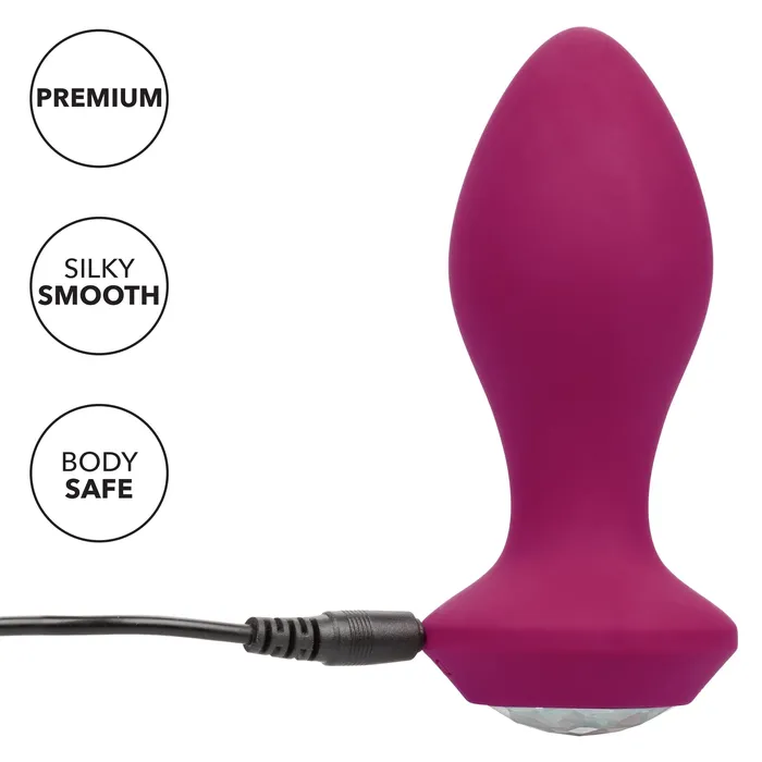 SugarandSas Vibrators Power Gem Vibrating Probe Purple