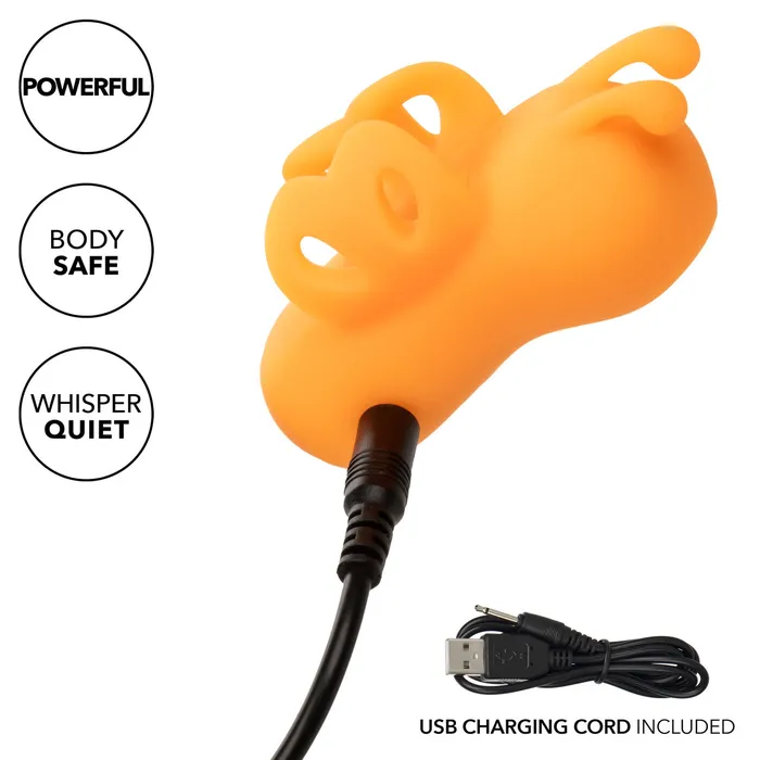 Vibrators CALEXOTICS NEON VIBE THE BUZZING VIBE