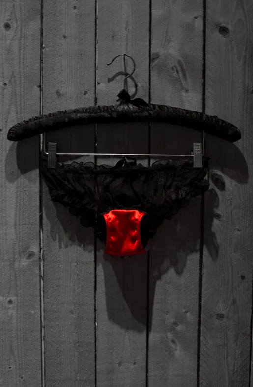 Vibrators Planet earth Satin Briefs