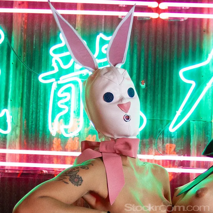 vendorunknown Vibrators Leather Bunny Hood