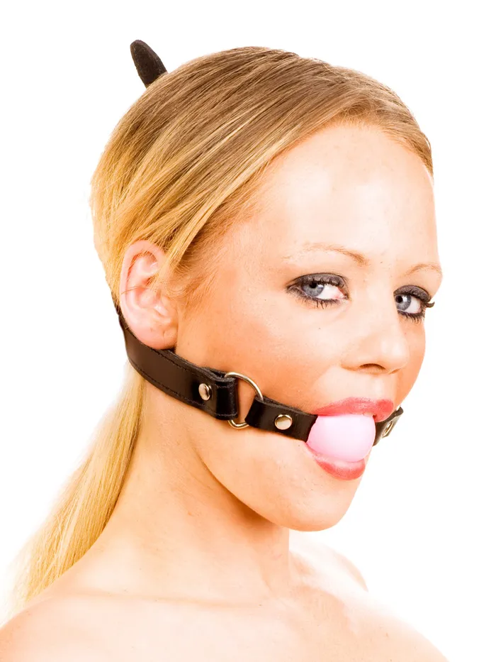 HonourSkintwocom Restraints Leather Ball GagCL323