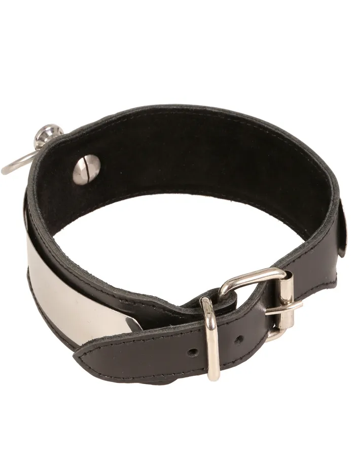 HonourSkintwocom Restraints Leather Metal Strip Collar HonourSkintwocom Restraints Leather Metal Strip Collar