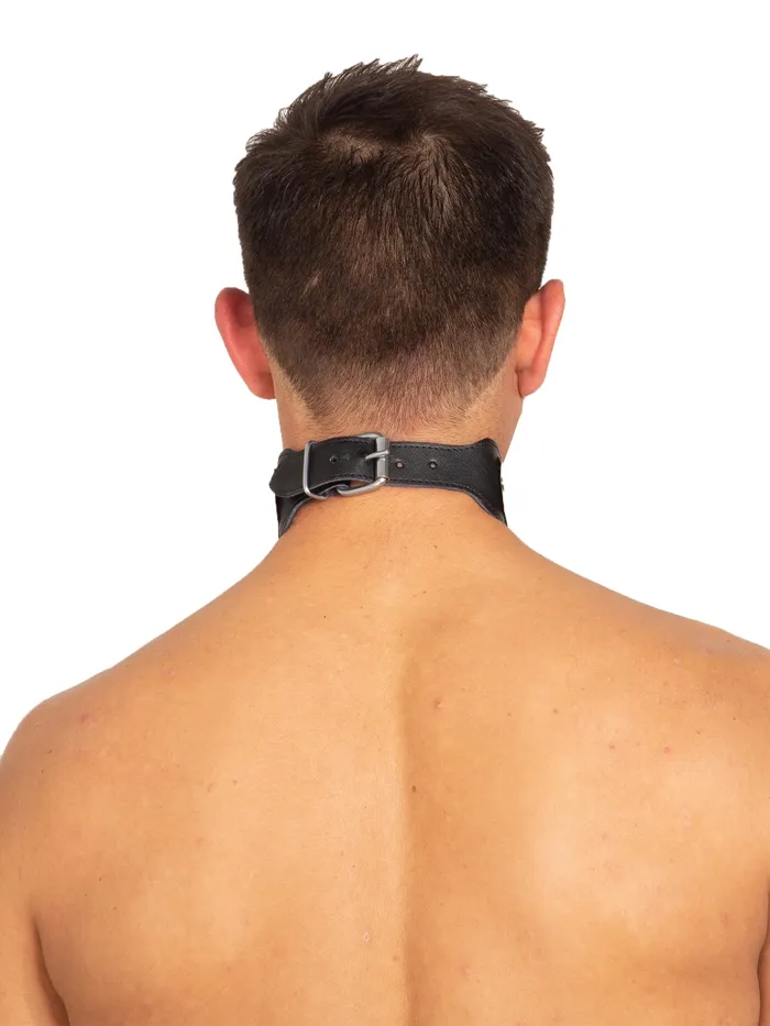 HonourSkintwocom Restraints Leather Metal Strip Collar HonourSkintwocom Restraints Leather Metal Strip Collar