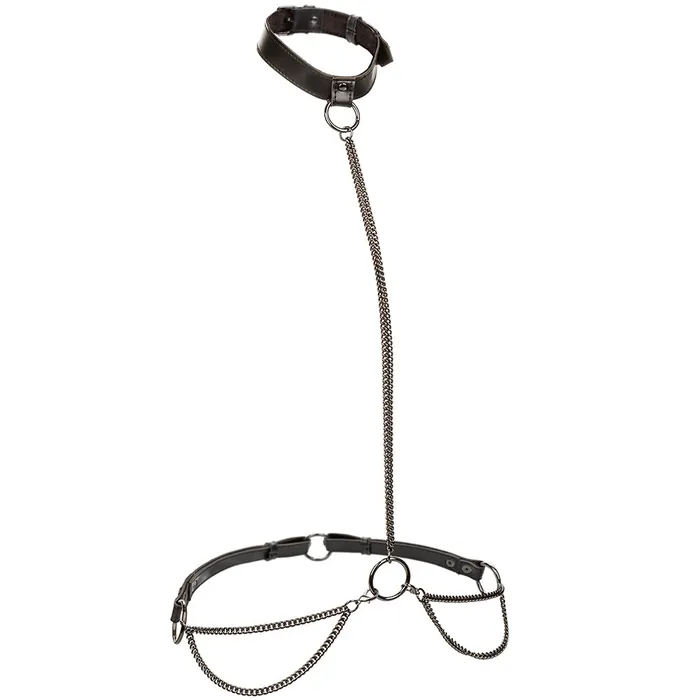 Vibrators CalExotics Euphoria Chain Collar Leash