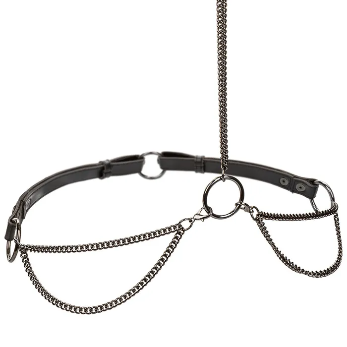Vibrators CalExotics Euphoria Chain Collar Leash