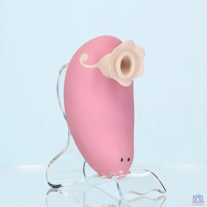 Vibrators Pillow Talk Pillow Talk Dreamy Luxurious Clitoral Massager Pink