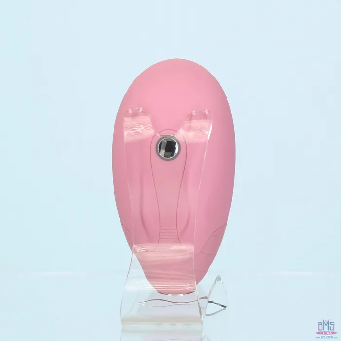 Vibrators Pillow Talk Pillow Talk Dreamy Luxurious Clitoral Massager Pink