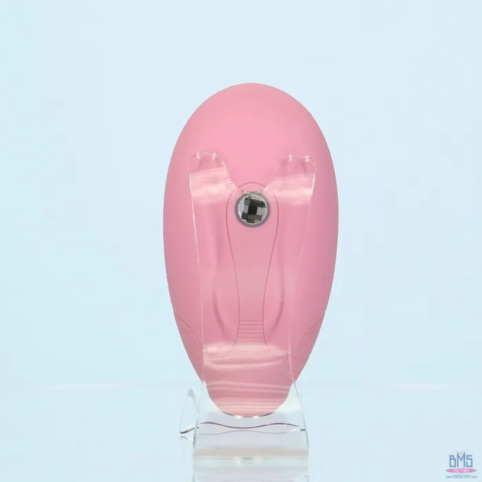 Vibrators Pillow Talk Pillow Talk Dreamy Luxurious Clitoral Massager Pink