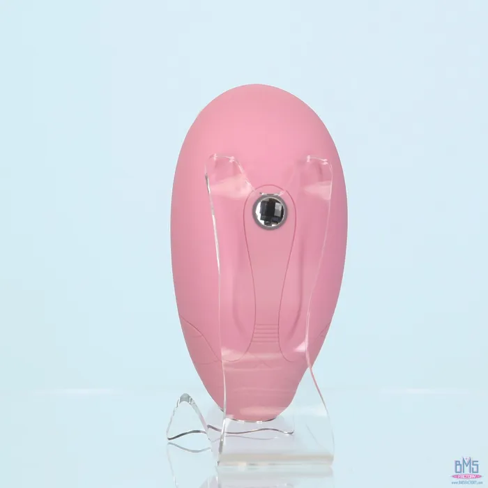 Vibrators Pillow Talk Pillow Talk Dreamy Luxurious Clitoral Massager Pink