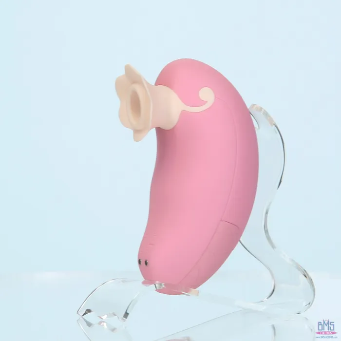 Vibrators Pillow Talk Pillow Talk Dreamy Luxurious Clitoral Massager Pink