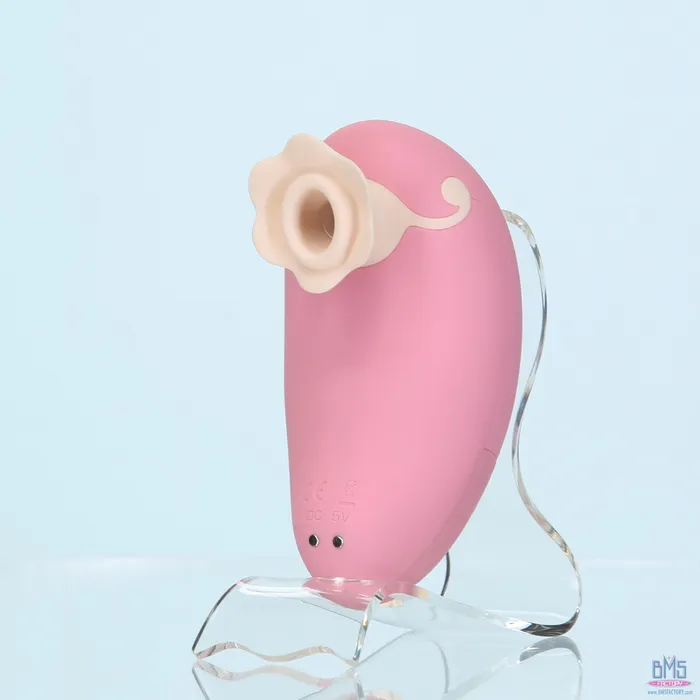 Vibrators Pillow Talk Pillow Talk Dreamy Luxurious Clitoral Massager Pink