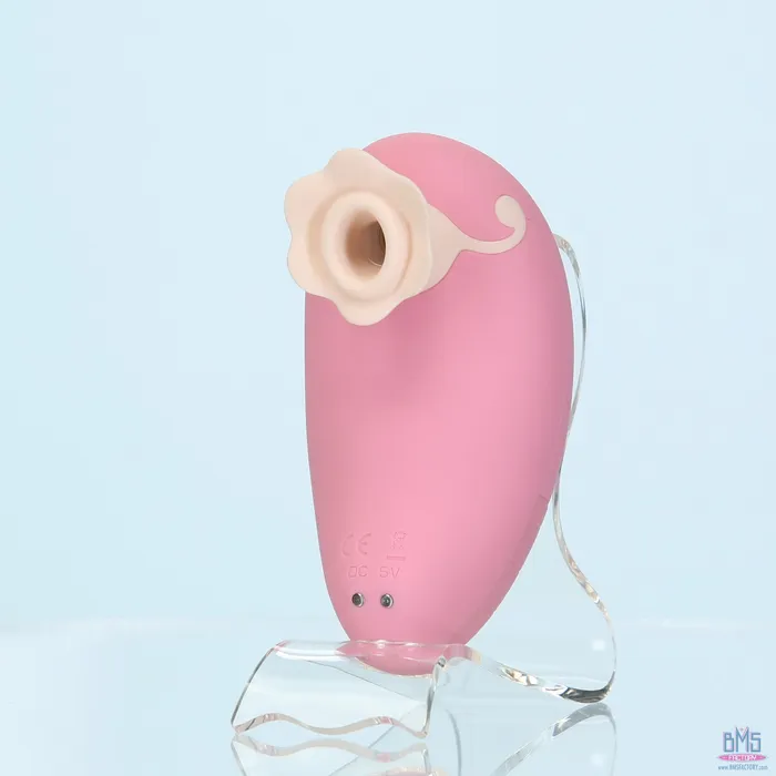 Vibrators Pillow Talk Pillow Talk Dreamy Luxurious Clitoral Massager Pink