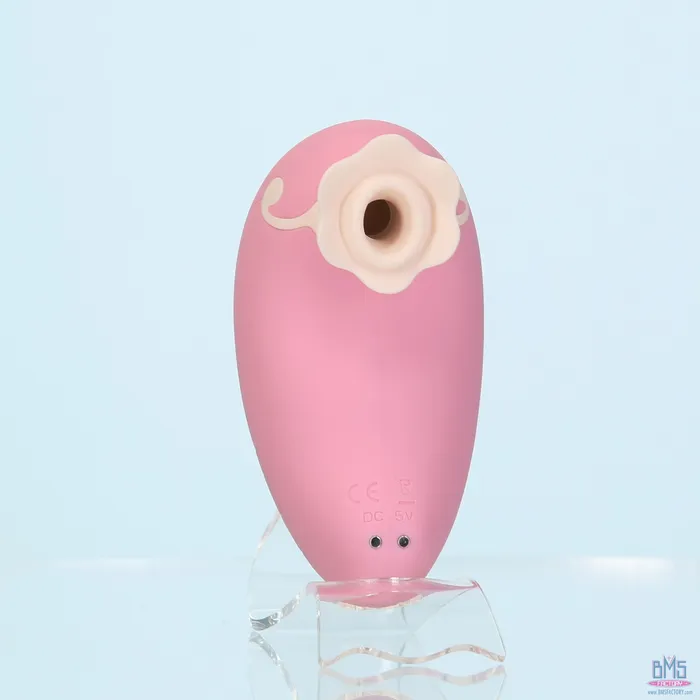 Vibrators Pillow Talk Pillow Talk Dreamy Luxurious Clitoral Massager Pink