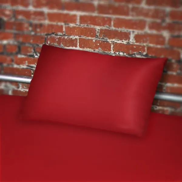 Vibrators Sheets of San Francisco Sheets of San Francisco Pillow Case Standard Red